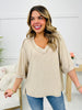 DOORBUSTER! REG/CURVY The Everyday Favorite Top- Multiple Colors!